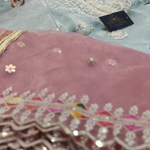 Traditional Indian Dress